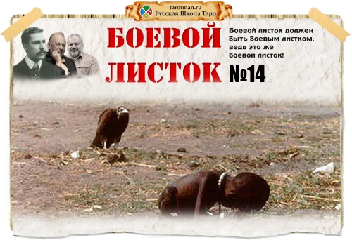 boevoylistok14