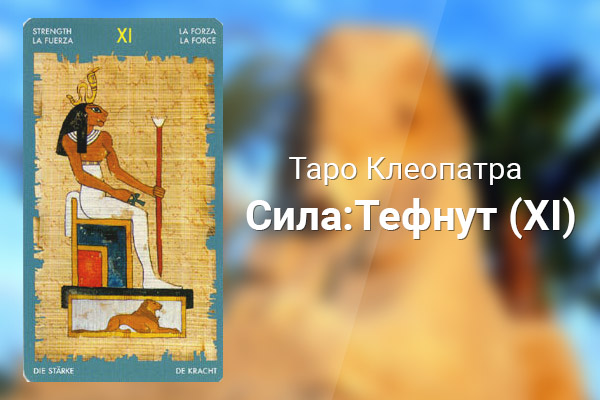 Значение карты Сила:Тефнут (XI) в колоде Таро Клеопатра