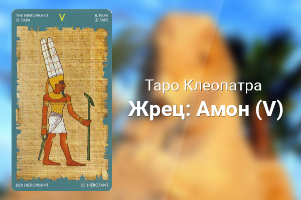 Жрец: Амон (V)