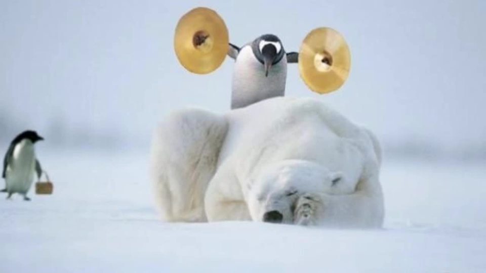 какие вопросы задают тарологу для расклада на личные отношения. Смотреть фото какие вопросы задают тарологу для расклада на личные отношения. Смотреть картинку какие вопросы задают тарологу для расклада на личные отношения. Картинка про какие вопросы задают тарологу для расклада на личные отношения. Фото какие вопросы задают тарологу для расклада на личные отношения какие вопросы задают тарологу для расклада на личные отношения. Смотреть фото какие вопросы задают тарологу для расклада на личные отношения. Смотреть картинку какие вопросы задают тарологу для расклада на личные отношения. Картинка про какие вопросы задают тарологу для расклада на личные отношения. Фото какие вопросы задают тарологу для расклада на личные отношения